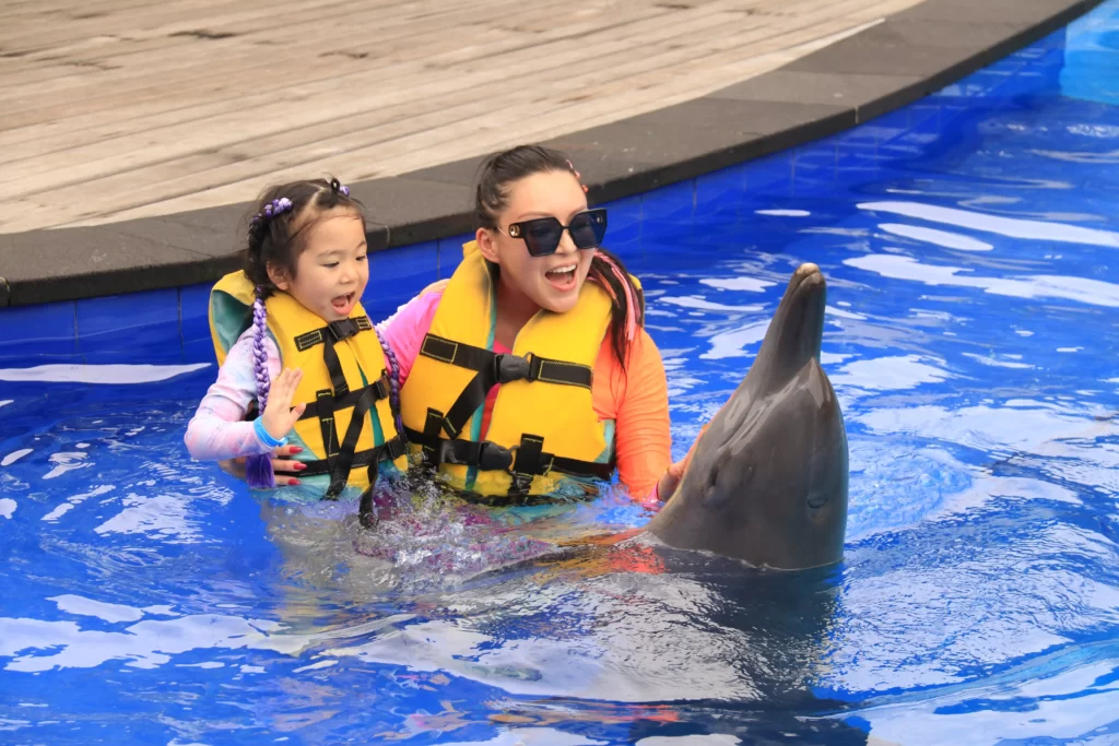 Swim with Dolphin Bali