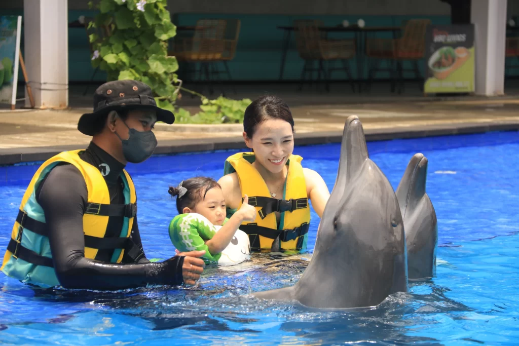 Swim with Dolphin Bali