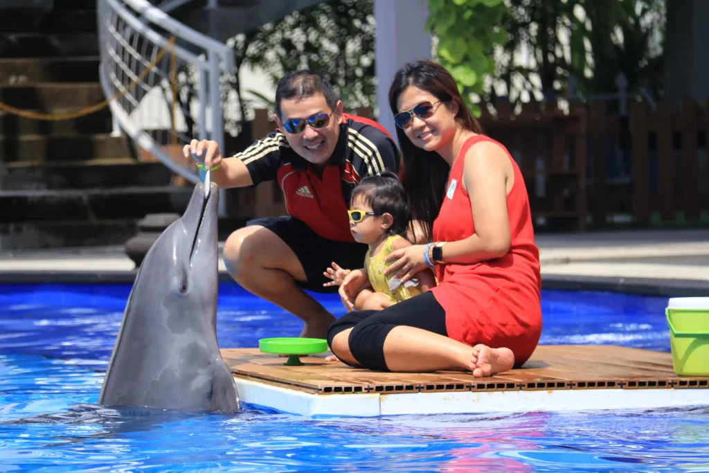 Swim with Dolphin Bali